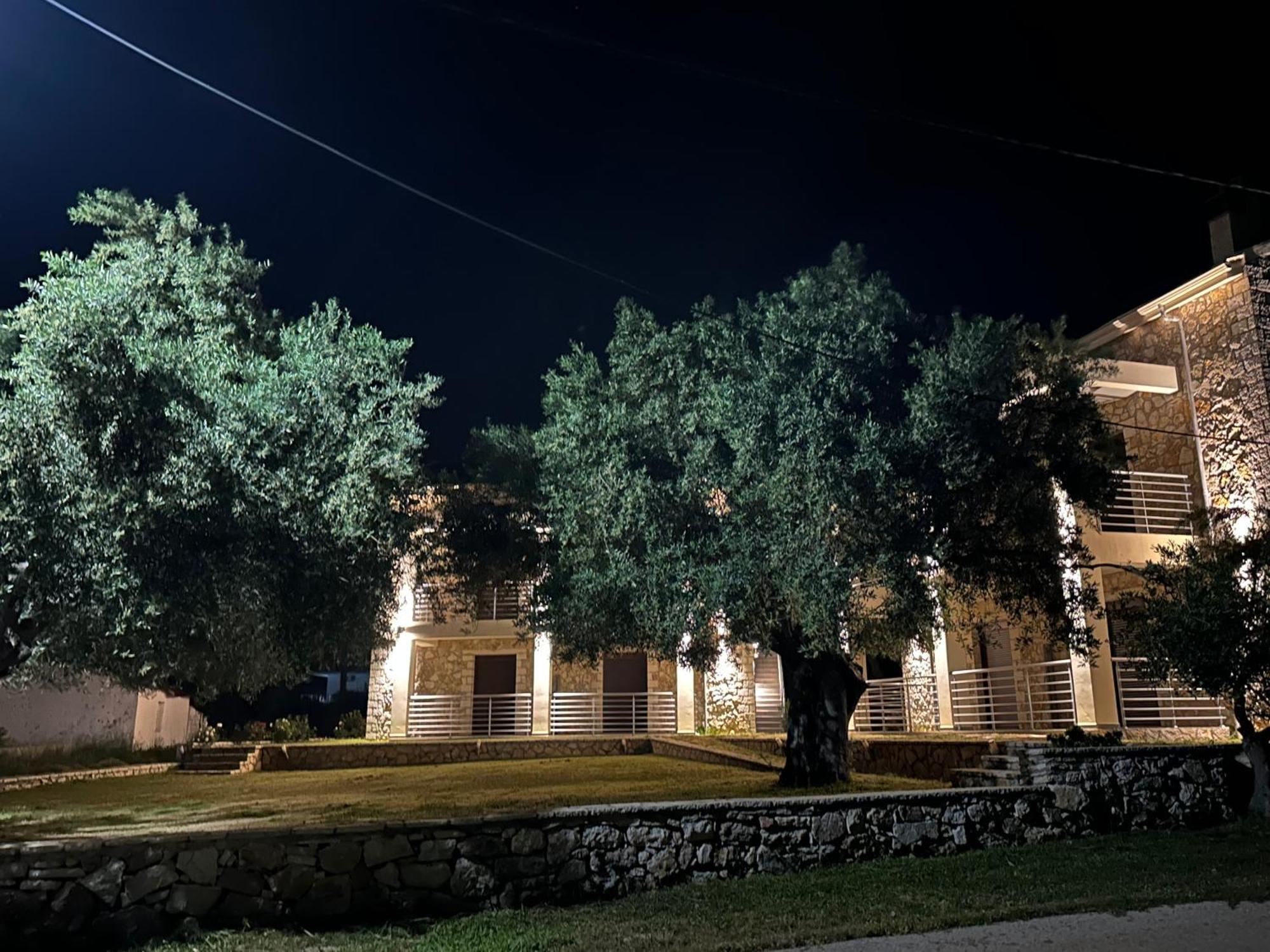Green Hill Valanidorachi Экстерьер фото